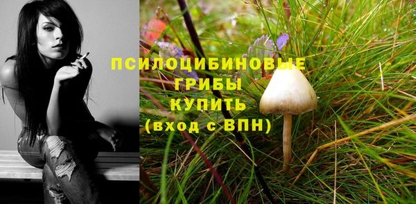 бутират Краснослободск