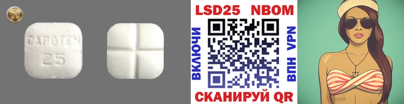 ссылка на мегу вход  Шилка  ЛСД экстази ecstasy 