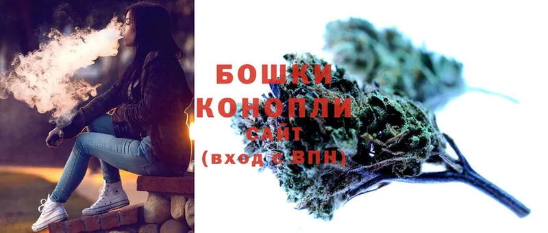 купить наркотик  Шилка  Шишки марихуана Ganja 